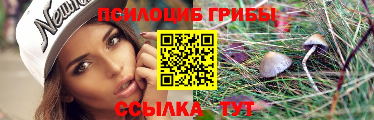 Псилоцибиновые грибы Magic Shrooms  купить   Заинск  Псилоцибиновые грибы ЛСД  Вход с VPN 
